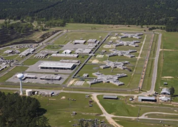 Georgian immigrant dies in US ICE custody