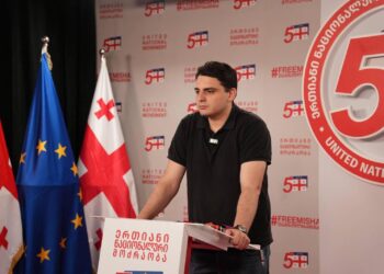 Citizen fined GEL 2,000 over Facebook comment about UNM’s Sanikidze