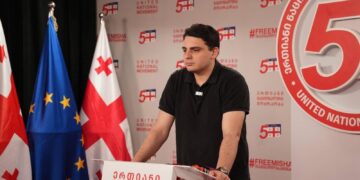 Citizen fined GEL 2,000 over Facebook comment about UNM’s Sanikidze