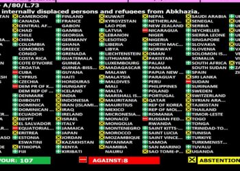 UN adopts resolution on Georgia IDPs, 107 countries support return rights