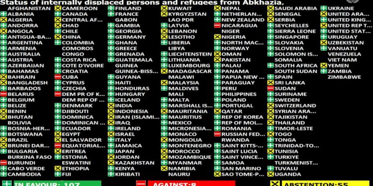UN adopts resolution on Georgia IDPs, 107 countries support return rights