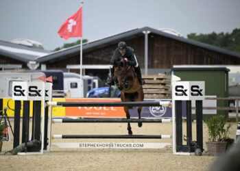 Shalva Gachechiladze wins gold at Belgian equestrian tournament