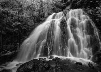 Photo by the author