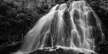 Photo by the author