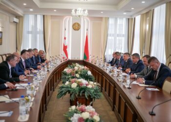 Songulashvili, Belarus deputy PM discuss boosting agri-food trade cooperation