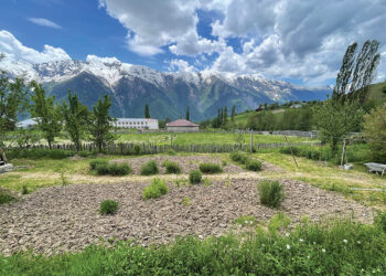 Etseri, Svaneti. Photo by the author