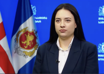 Kimbarishvili appointed head of MIA hate speech monitoring department
