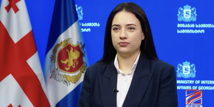 Kimbarishvili appointed head of MIA hate speech monitoring department