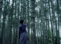 Campaign by jailed Georgian creatives shortlisted at Cannes Lions