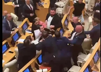 Physical altercation erupts in Georgia’s Parliament, session suspended