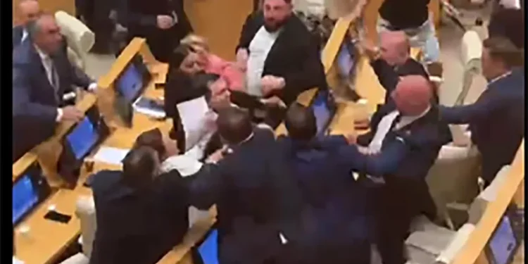 Physical altercation erupts in Georgia’s Parliament, session suspended