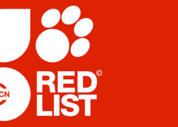 Audit: Georgia’s Red List remains outdated