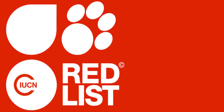 Audit: Georgia’s Red List remains outdated