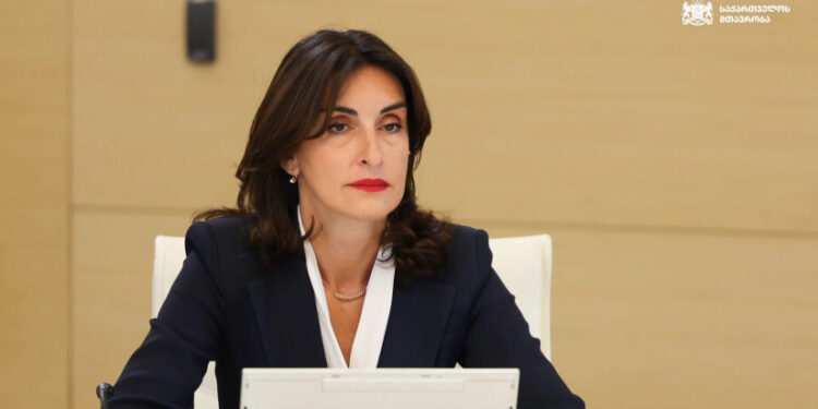 Georgian FM says European Parliament resolution contains ‘false information’ and targets Georgia