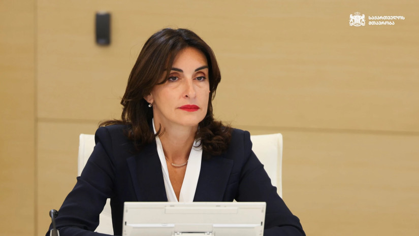 Georgian FM says European Parliament resolution contains ‘false information’ and targets Georgia
