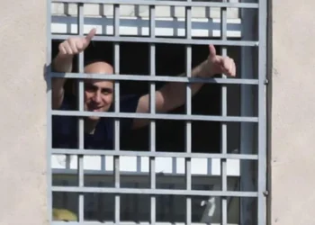 Melia: Truth is necessary so that no one behaves tomorrow as unworthily as Saakashvili