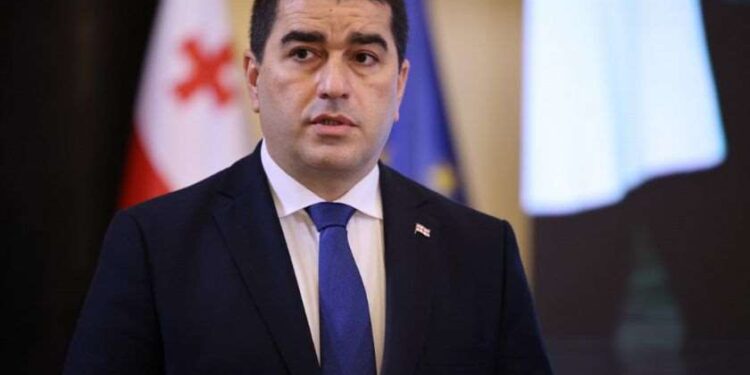 Papuashvili says European Parliament and PACE resolutions are ‘an attack on the idea of Georgian statehood’