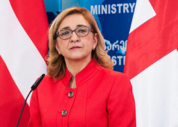 Ex-foreign minister Beruchashvili appointed Diplomatic Academy Rector