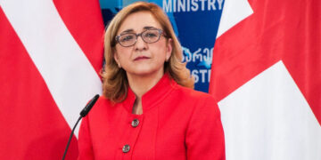 Ex-foreign minister Beruchashvili appointed Diplomatic Academy Rector