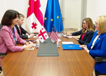Georgian foreign minister meets acting US ambassador to discuss bilateral ties