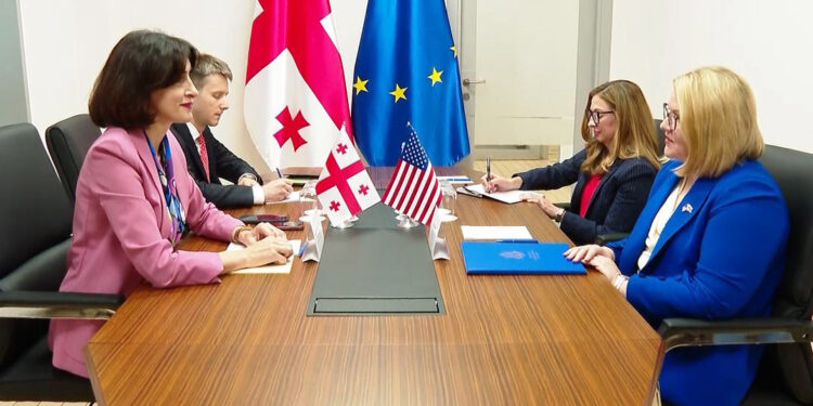 Georgian foreign minister meets acting US ambassador to discuss bilateral ties