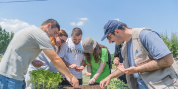FAO marks Youth Skills Day with climate-smart farming training