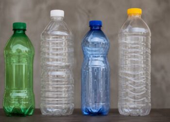 Georgia postpones plastic bottle ban in food service sector to 2031