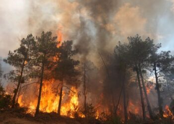 More than 250,000 flee as wildfires rage across Spain and France