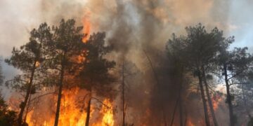 More than 250,000 flee as wildfires rage across Spain and France