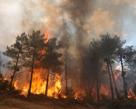 More than 250,000 flee as wildfires rage across Spain and France