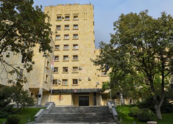 Teen sentenced to 9 years for torture, organized violence
