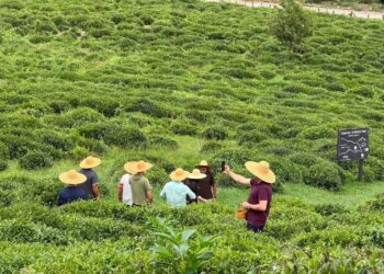 CENN showcases sustainable businesses in Guria