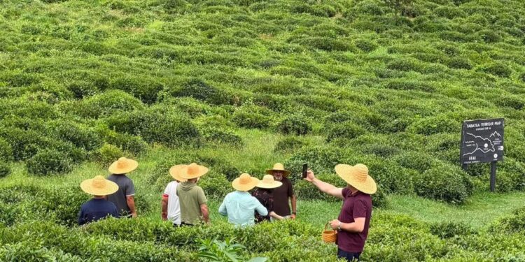 CENN showcases sustainable businesses in Guria