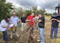 Turkish scientists investigate Georgia’s hazelnut dieback problem