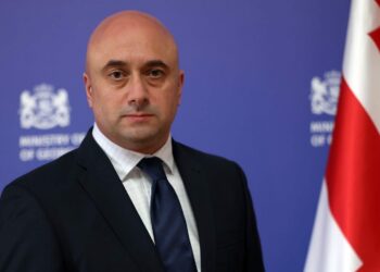 Mikheil Kiknadze appointed acting culture minister