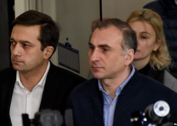 Public Defender questions 13-year sentence handed to opposition politician Aleko Elisashvili