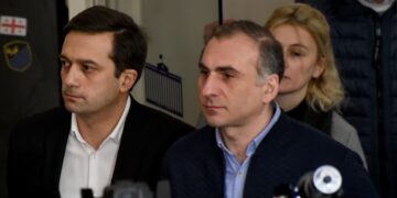 Public Defender questions 13-year sentence handed to opposition politician Aleko Elisashvili
