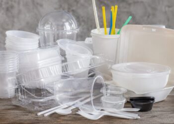 Georgia delays ban on single-use plastic food containers, cups