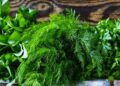 Georgia exports $4.5 million worth of herbs in first half of 2026