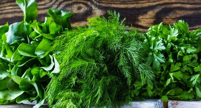 Georgia exports $4.5 million worth of herbs in first half of 2026