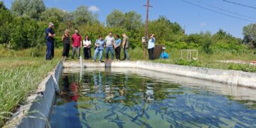 FAO training aims to improve fish disease monitoring in Georgia