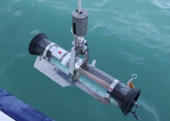 Agency: Black Sea water quality remains within normal limits