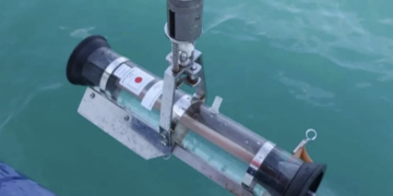 Agency: Black Sea water quality remains within normal limits