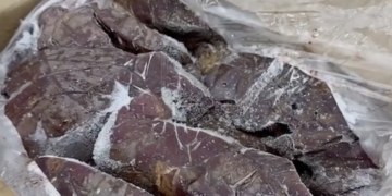 Georgia’s Investigation Service uncovers sale of 19 tons of expired meat