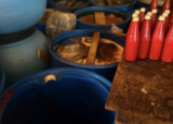 Food Agency halts unregistered pickle production in Tbilisi