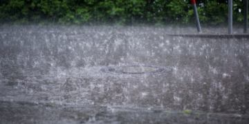 Tbilisi receives 1.5 times monthly rainfall in 8 hours, Environment Agency says