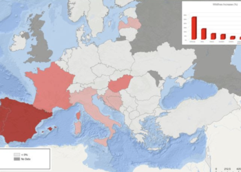 WHO: Wildfires up 57% across Europe in four years
