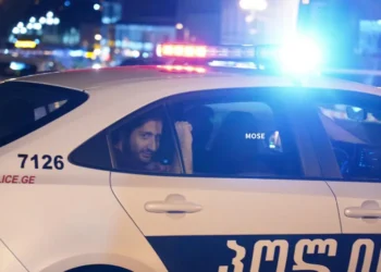 Activist Vaso Beridze fined GEL 5,000 over Tbilisi City Assembly rally