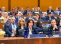 Bochorishvili: Georgia has faced coordinated campaigns against state institutions
