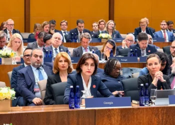 Bochorishvili: Georgia has faced coordinated campaigns against state institutions